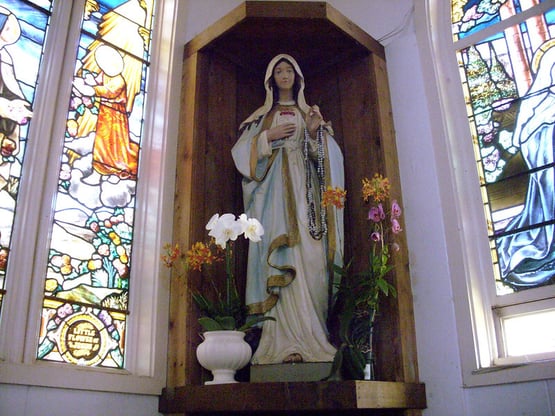 53969417721_4d6e39a5a7_c